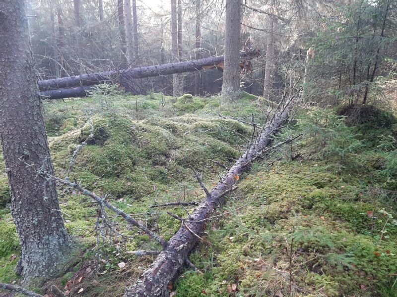 Kohteen kuva