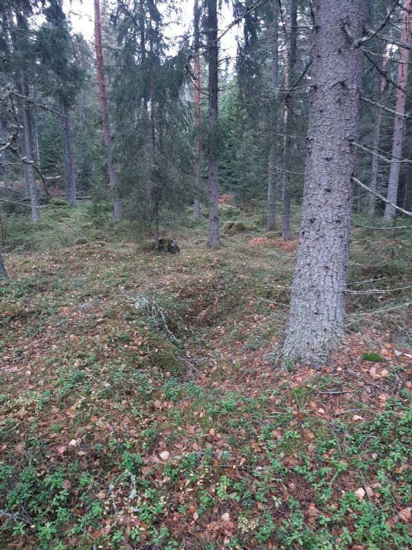 Kohteen kuva
