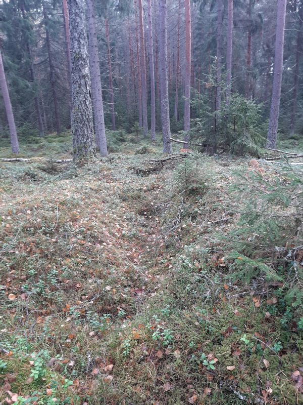 Kohteen kuva