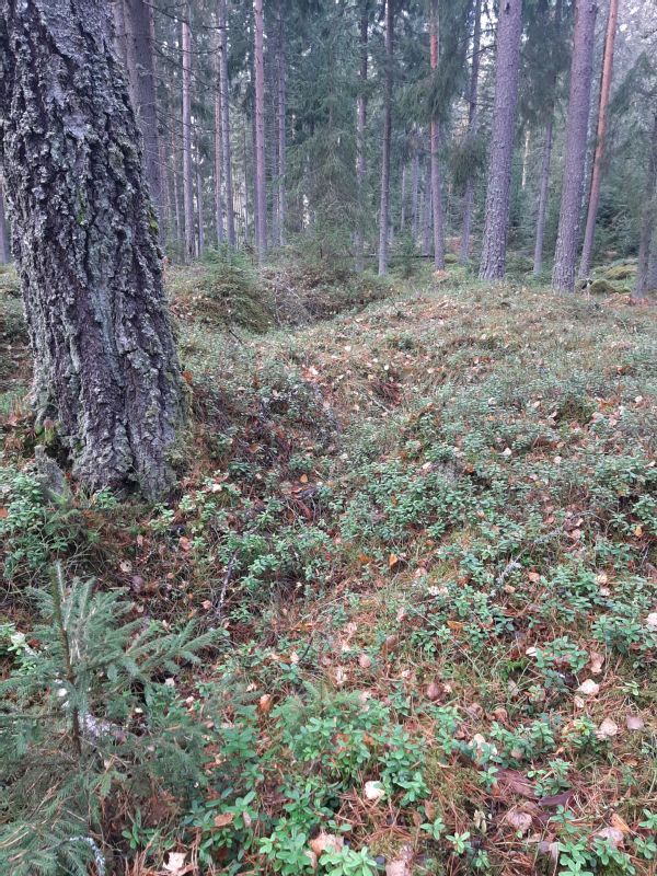 Kohteen kuva