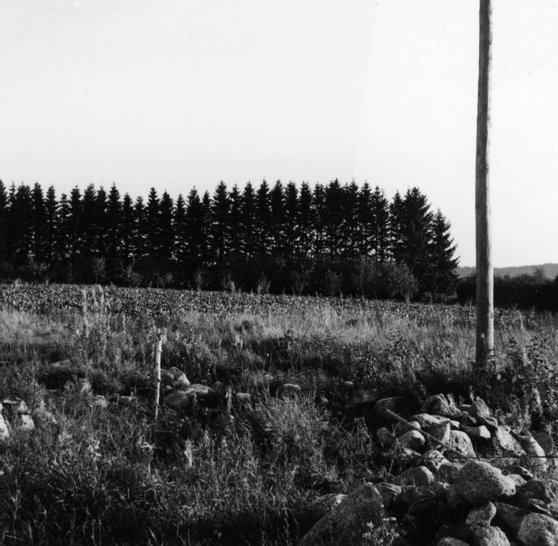 Kohteen kuva