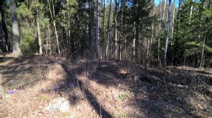 Kohteen kuva