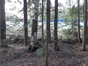 Kohteen kuva