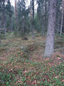 Kohteen kuva