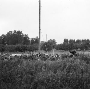 Kohteen kuva
